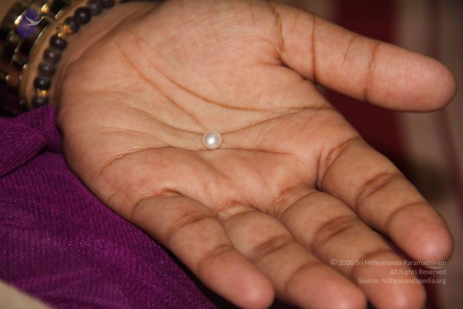 20110901 Photo 2523 1AK5pR1Vuny9GFr9v na9r0hBSGeHomL1.JPG