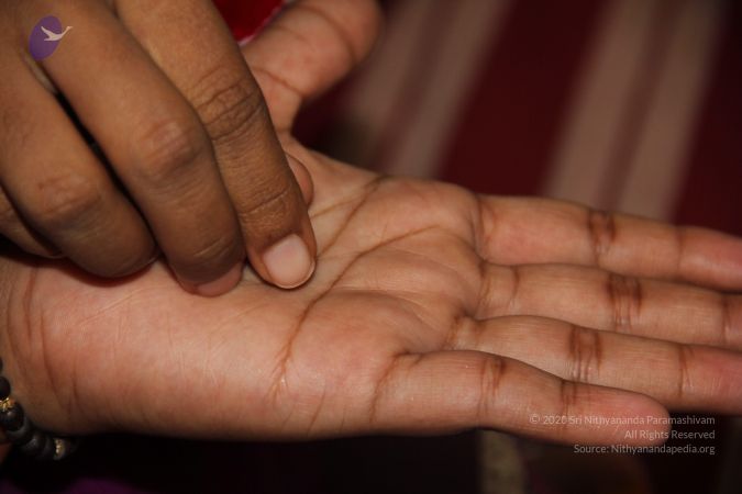 20110901 Photo 2525 1gNXunYnqUXVpkBXrhN4VFz 1ilFwxtQO.JPG