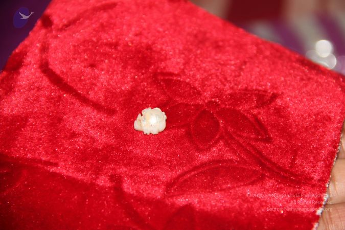 20110901 Photo 2527 1A7GiTBUmZjjYpuBt41zvpAQF7Vlv2XZu.JPG