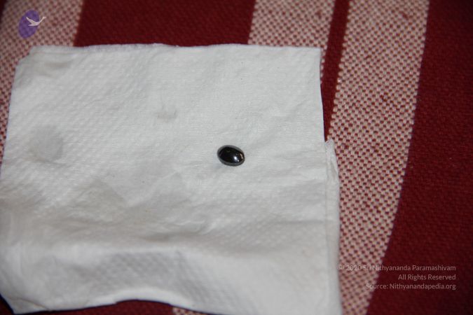 20110901 Photo 2541 1sp6jtwlc-hrnQPDFsSVCx-r9gYV4cnB9.JPG