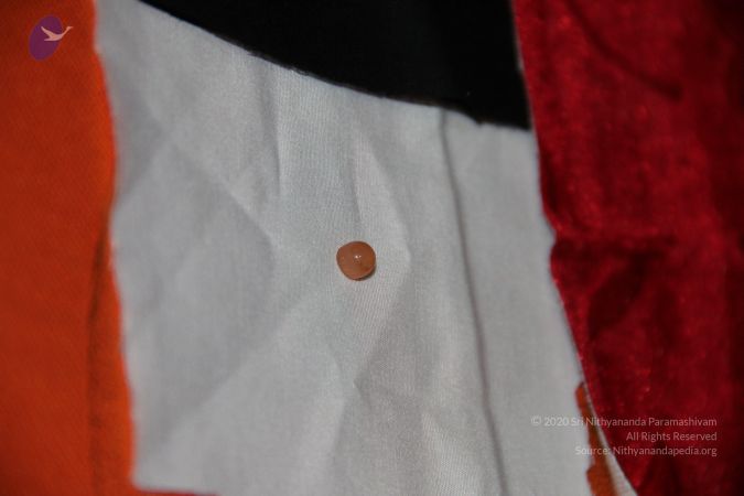 20110901 Photo 2567 1OEXzO0OZfkSoqhG6ccJIrdUSt7p9lj68.JPG