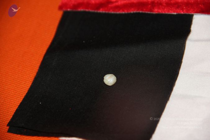 20110901 Photo 2580 1Iu3XDqFSP0-h7MCxC31-h6DeNruLcMM3.JPG