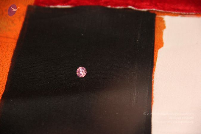 20110901 Photo 2643 1SK90WJeG38fQ-4T3t9CG0Pkjac8HEOpo.JPG