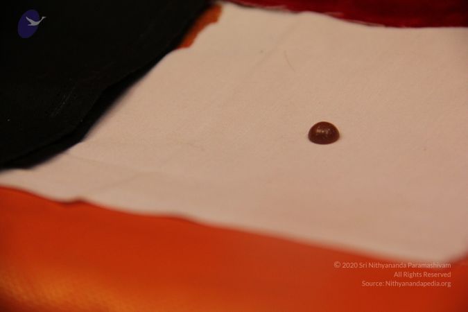 20110901 Photo 2657 1BHMFg313GAIsxHITbsYv4xZDZd75mAOE.JPG