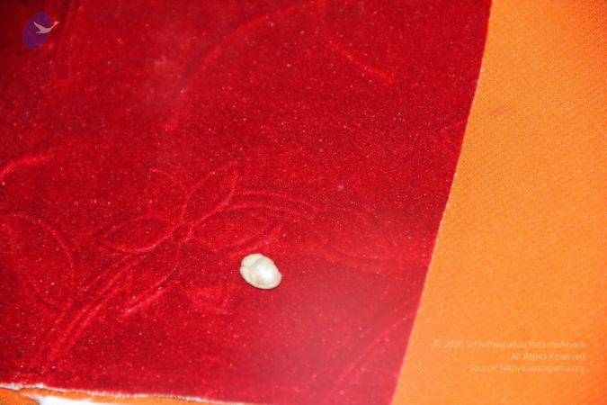 20110901 Photo 2669 1rZRmO8IWXnKdKNdw548c5aaO-4YwiEmL.JPG