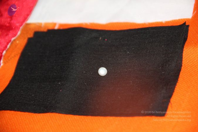 20110901 Photo 2693 1-XALe1ZYfX5a3n-bNmnwLVwYOui6V6rX.JPG