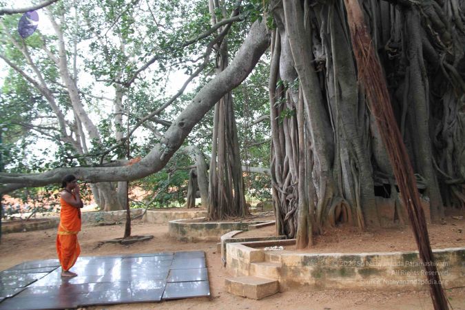 20110902 Photo 1014 113abyVKRlQMq4ZiKa3-bm042b5z2kJkO.JPG