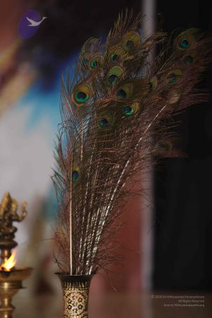 20110903 Photo 1149 1Ox5DnuWyrLywZ3NeVoE6o3DEm30O24wd.JPG