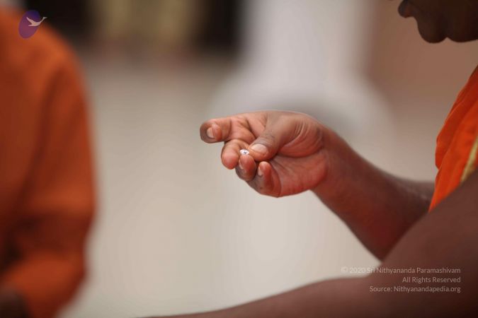 20110903 Photo 1325 1mj-1bg-rOknWvF43FdeUNk1V2ZAHmha7.JPG