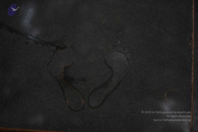 20110906 Photo 1027 1eoRCqxj8URoiyDcUHW02 LDCk7Fv7z-q.JPG