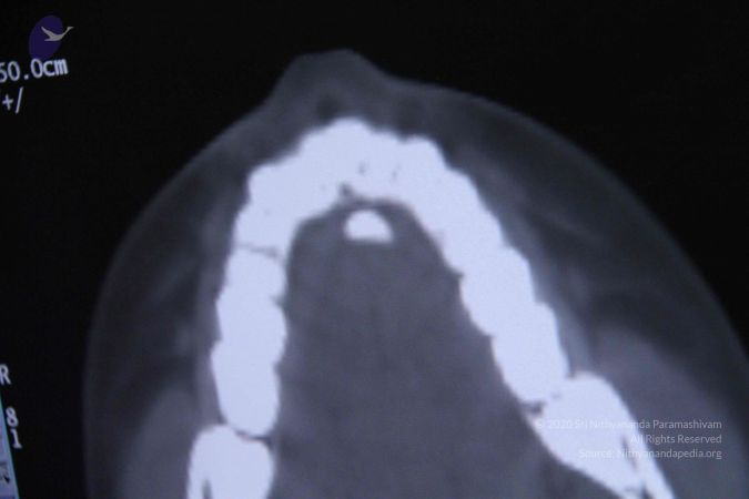 20110906 Photo 1098 1g-he7EzBLUmOItinzeJkAuQP9AOBZ7X3.JPG