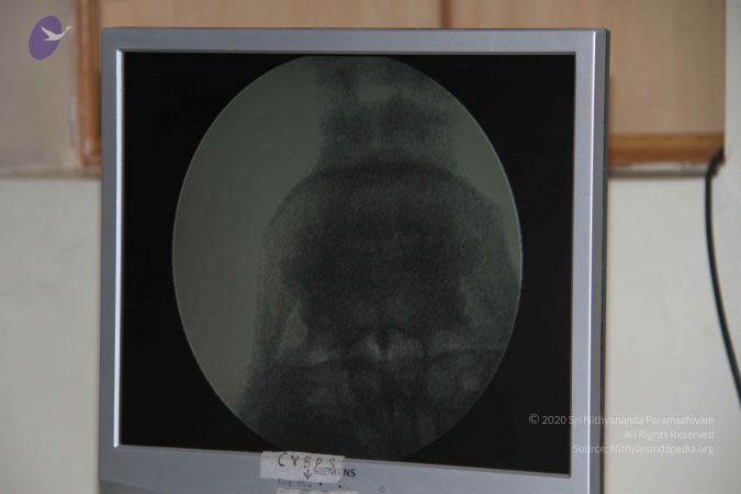 20110906 Photo 1134 11K3kXdEfB-amaw7mVkX7mZCeKYcDHg9a.JPG