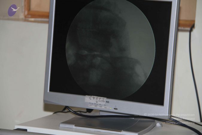 20110906 Photo 1137 1oJdZu97PHgGHheYayrMQisNouxI2E2M1.JPG