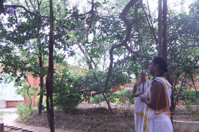 20110907 Photo 1023 1Y-nyTr5Zq4KGMzkKzHxqgmmcMrmuekaB.JPG