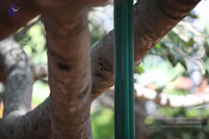 20110907 Photo 1143 1YiCG6Y3IDd5quDontOWcsBcRkP5YpyqX.JPG