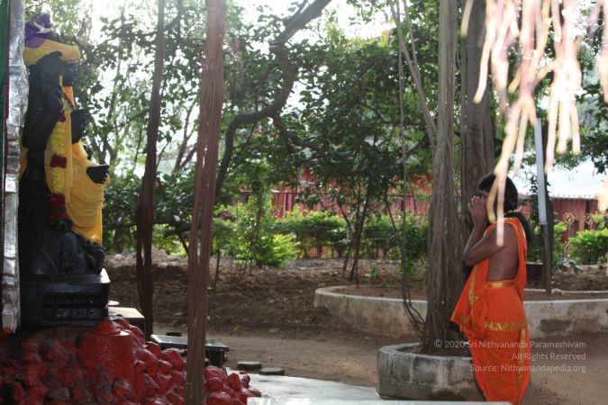 20110908 IMG 0013 CMP WM-1101.jpg