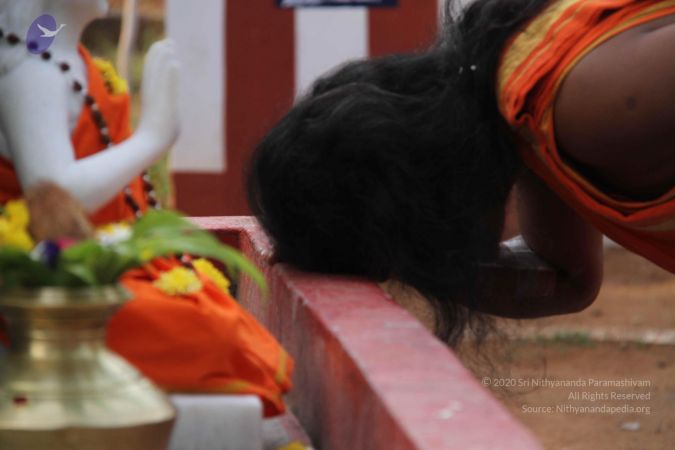 20110908 IMG 4903 CMP WM-3401.jpg