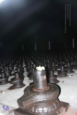 20110908 IMG 4989 CMP WM-2801.jpg