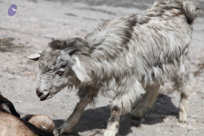 20110908 Photo 1036 13GB6Y4NMFrAvdXIovZJz0-nErTMqqzxn.JPG