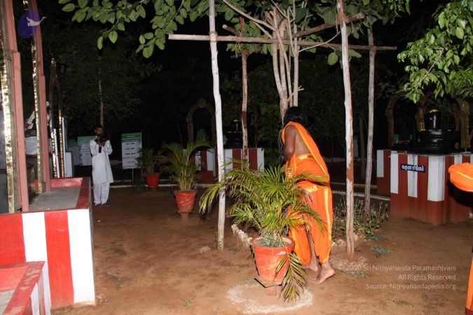 20110909 IMG 5071 CMP WM-03001.jpg