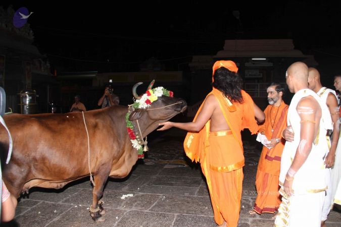 20110909 IMG 5092 CMP WM-11001.jpg