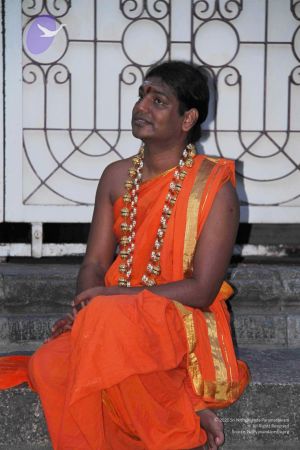 20110909 IMG 5123 CMP WM-27001.jpg