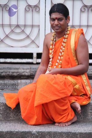 20110909 IMG 5200 CMP WM-77001.jpg