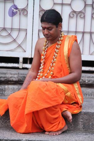 20110909 IMG 5203 CMP WM-79001.jpg