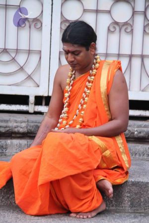 20110909 IMG 5204 CMP WM-80001.jpg