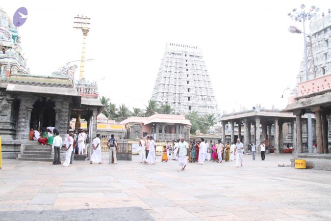 20110909 IMG 5251 CMP WM-110001.jpg