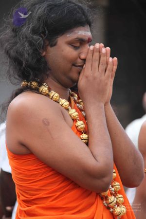 20110909 IMG 5319 CMP WM-151001.jpg