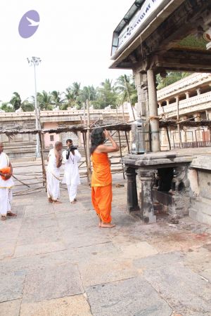 20110909 IMG 5374 CMP WM-198001.jpg