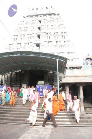 20110909 IMG 5404 CMP WM-210001.jpg