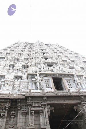 20110909 IMG 5442 CMP WM-226001.jpg