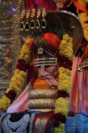 20110909 Photo 1000 10cL-yNyRSYflI-ZE1DvNZ1BkGq9YIsuk.JPG