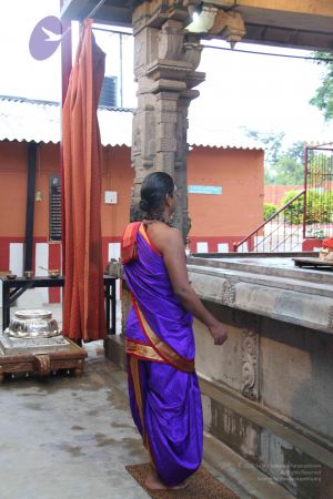 20110909 Photo 1002 1OecdtOBH2v4J-3KzHXErpIcpoTiedYfa.JPG