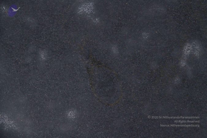 20110909 Photo 1018 1JxDky n1BKJJrJl6q qwuPa379Jb2OF0.JPG