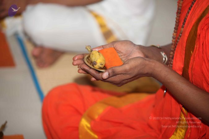 20110909 Photo 1036 1jVH sLnJQW32 bIfJG9WE LPVZM4k 4M.JPG