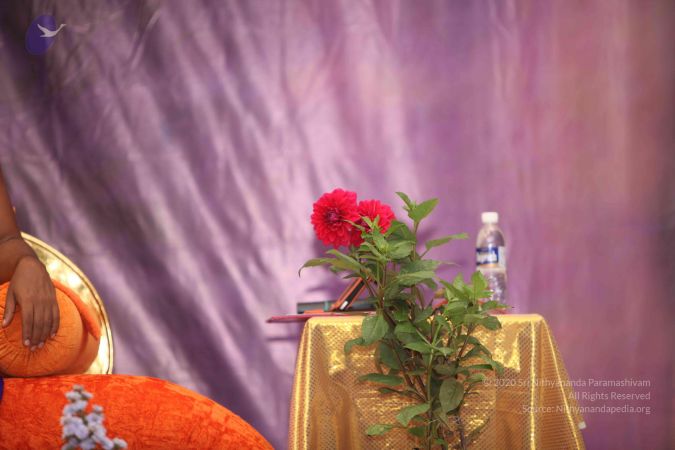 20110909 Photo 1044 1CHpSo36vPuFp2bR2unyykmQitNV8vStU.JPG