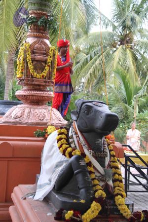 20110909 Photo 1121 1BrFsbZyUSSxVkCLeCOeIlMsuGLrsaRCe.JPG