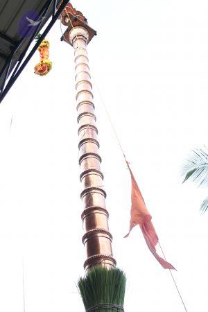 20110909 Photo 1131 1t2wvMFg z9wMzdnNZ lnJCowK7dw4lnR.JPG