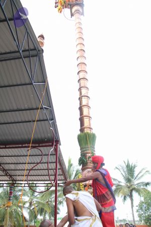 20110909 Photo 1132 1TQlfC79KBhgw zj6Nyei8SgL9iowJ9z3.JPG