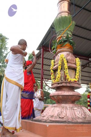 20110909 Photo 1137 1NcQrrhy4qfC9ulbSGVkpoY030f 4p3FP.JPG