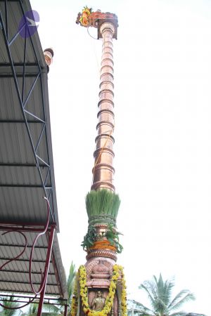 20110909 Photo 1157 14YG97mL7sqfLiqJzzWJ48PmS1jaWC1K0.JPG