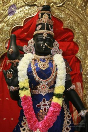 20110909 Photo 1243 1s2JfrG-PdqVOBZUXCLqORo7m3RwHwjVH.JPG