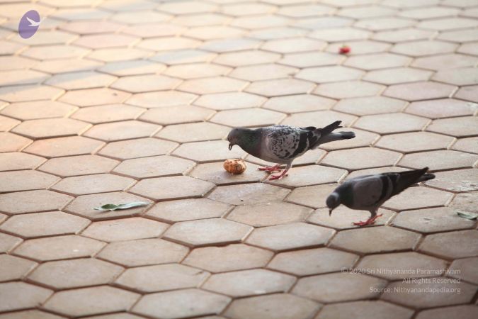 20110909 Photo 1255 1nt W7rc9y Q-JL7AEkbk7jVKzkWqkUI0.JPG