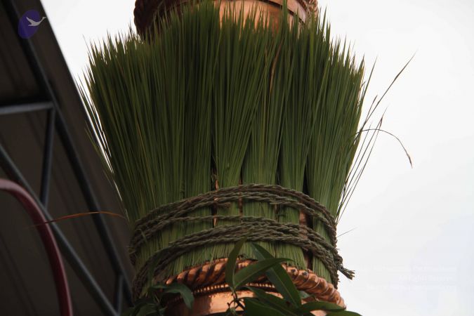 20110909 Photo 1262 1U0p93LIFG-YdP3QruhSqIw0lnGV52Yw9.JPG