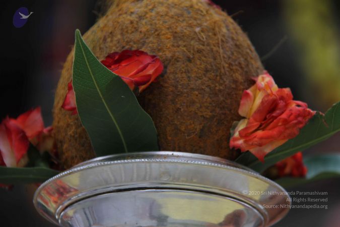 20110909 Photo 1263 1J9O82JA0e4T4S9szWO21DevvJnqgehuL.JPG