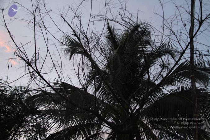 20110909 Photo 1267 1ZIkbKd9qumARryn6mGhjccCYNCUhjhpO.JPG