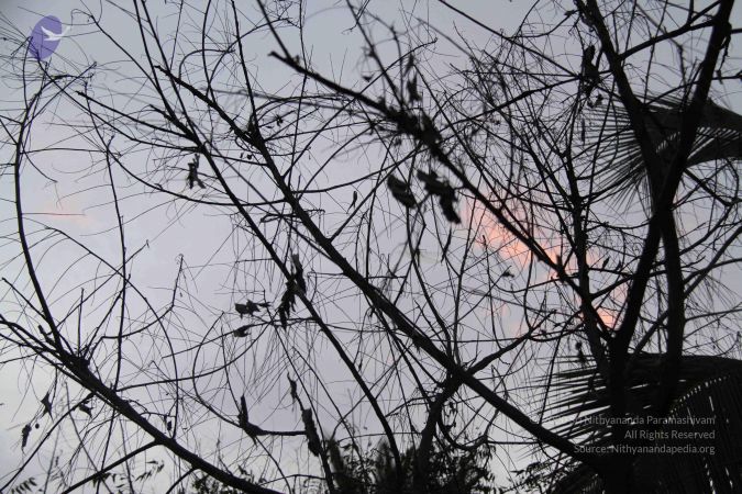 20110909 Photo 1268 1upponQOkQBTSoJUHcoxKeLenLUM83gzf.JPG